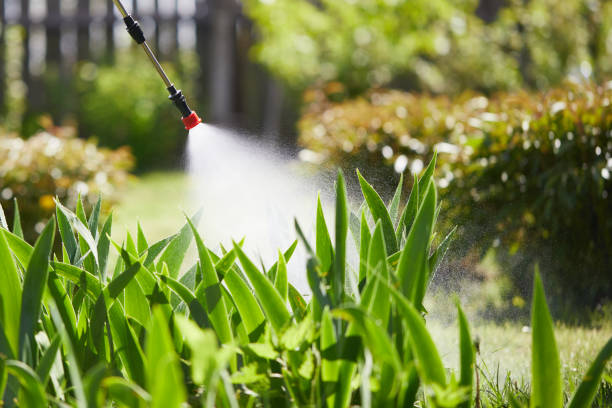 24/7 Emergency Cockroach Control experts in Baldwin City, KS