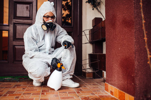 Reliable Cockroach Control contractor in Baldwin City, KS by Nex Pest Control